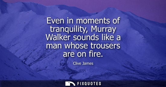 Small: Even in moments of tranquility, Murray Walker sounds like a man whose trousers are on fire