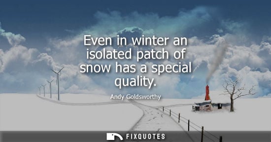 Small: Even in winter an isolated patch of snow has a special quality - Andy Goldsworthy