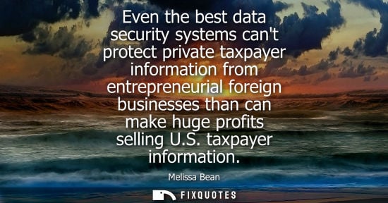 Small: Even the best data security systems cant protect private taxpayer information from entrepreneurial fore