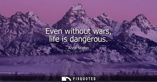 Small: Anne Sexton: Even without wars, life is dangerous