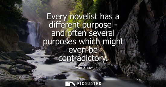 Small: Every novelist has a different purpose - and often several purposes which might even be contradictory