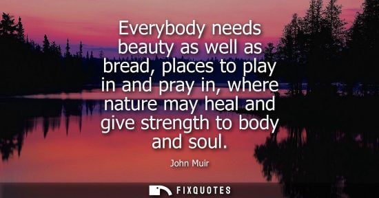 Small: John Muir - Everybody needs beauty as well as bread, places to play in and pray in, where nature may heal and 