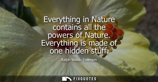 Small: Ralph Waldo Emerson - Everything in Nature contains all the powers of Nature. Everything is made of one hidden