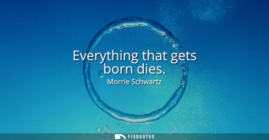 Small: Everything that gets born dies