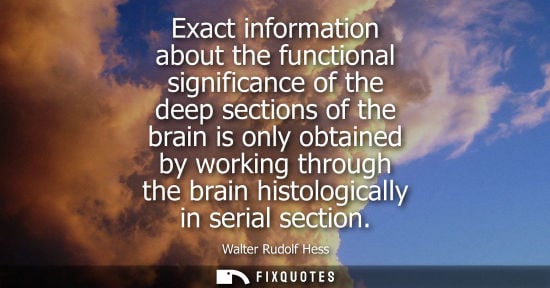 Small: Exact information about the functional significance of the deep sections of the brain is only obtained 