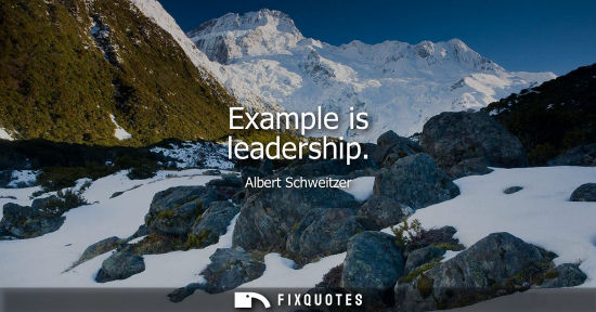 Small: Example is leadership - Albert Schweitzer
