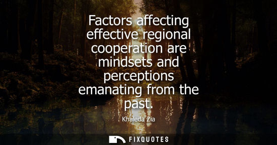 Small: Factors affecting effective regional cooperation are mindsets and perceptions emanating from the past