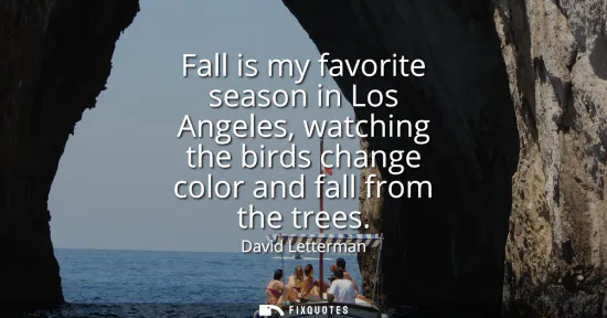 Small: Fall is my favorite season in Los Angeles, watching the birds change color and fall from the trees