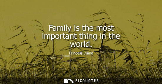 Small: Family is the most important thing in the world