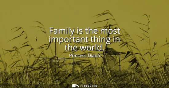 Small: Family is the most important thing in the world