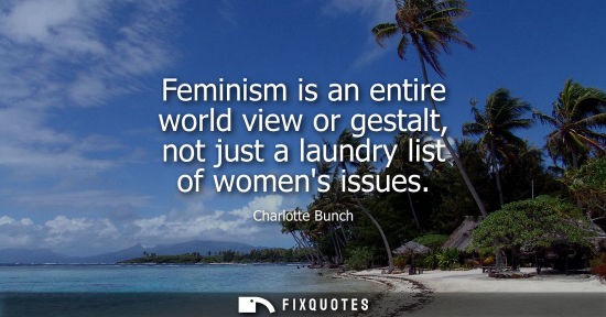 Small: Feminism is an entire world view or gestalt, not just a laundry list of womens issues