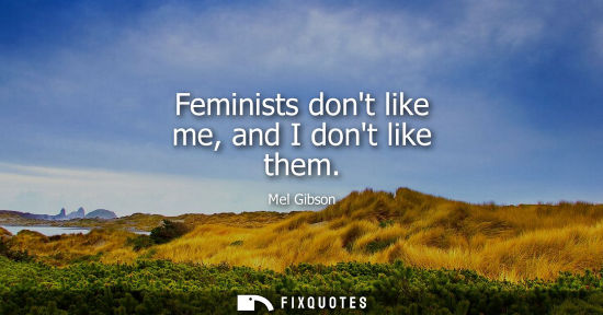 Small: Feminists dont like me, and I dont like them - Mel Gibson