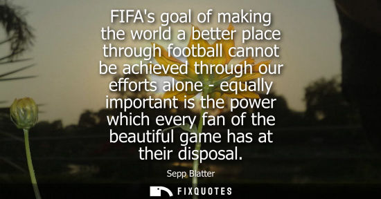 Small: FIFAs goal of making the world a better place through football cannot be achieved through our efforts a