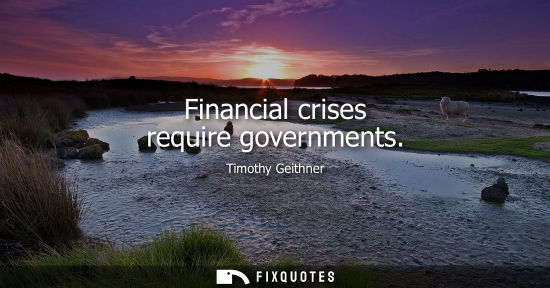 Small: Financial crises require governments