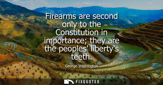 Small: Firearms are second only to the Constitution in importance they are the peoples libertys teeth
