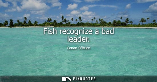 Small: Fish recognize a bad leader