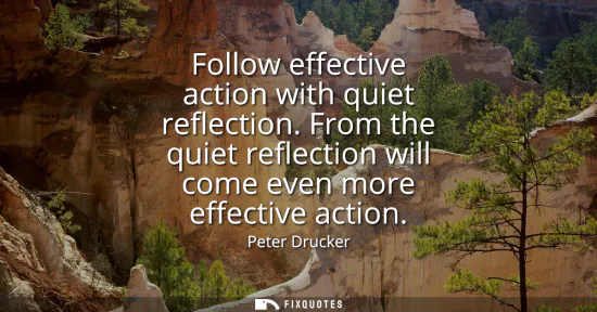 Small: Follow effective action with quiet reflection. From the quiet reflection will come even more effective action
