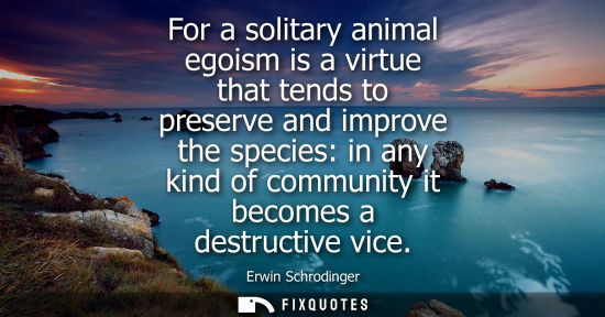 Small: For a solitary animal egoism is a virtue that tends to preserve and improve the species: in any kind of