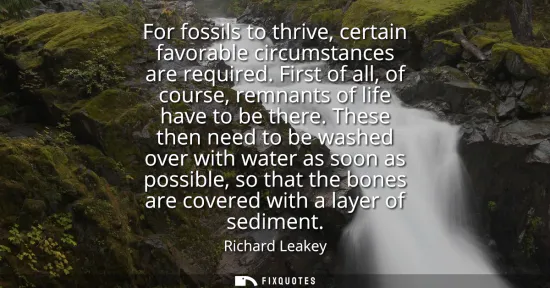 Small: For fossils to thrive, certain favorable circumstances are required. First of all, of course, remnants of life