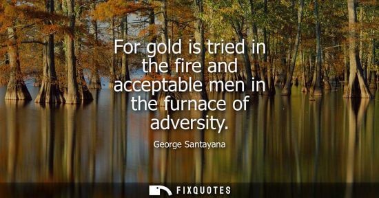 Small: For gold is tried in the fire and acceptable men in the furnace of adversity