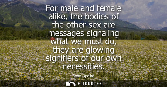 Small: For male and female alike, the bodies of the other sex are messages signaling what we must do, they are