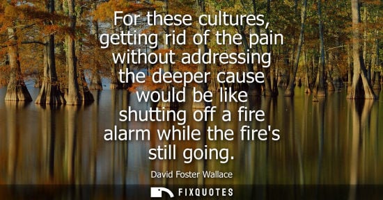 Small: For these cultures, getting rid of the pain without addressing the deeper cause would be like shutting 