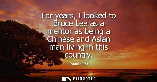 Small: For years, I looked to Bruce Lee as a mentor as being a Chinese and Asian man living in this country - Donnie 