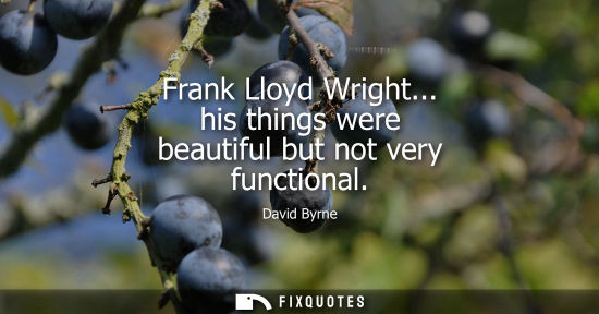 Small: David Byrne: Frank Lloyd Wright... his things were beautiful but not very functional