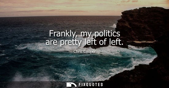 Small: Frankly, my politics are pretty left of left