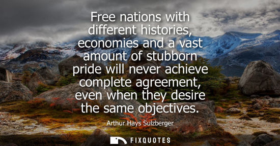 Small: Free nations with different histories, economies and a vast amount of stubborn pride will never achieve