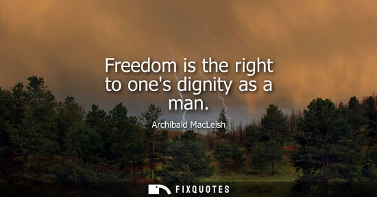 Small: Freedom is the right to ones dignity as a man