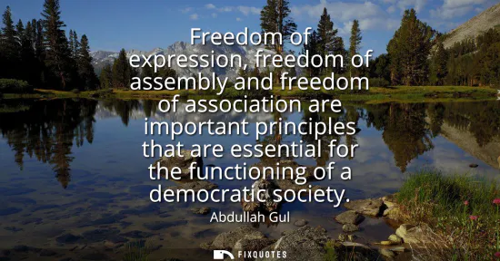 Small: Freedom of expression, freedom of assembly and freedom of association are important principles that are essent