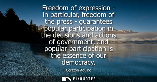 Small: Freedom of expression - in particular, freedom of the press - guarantees popular participation in the d