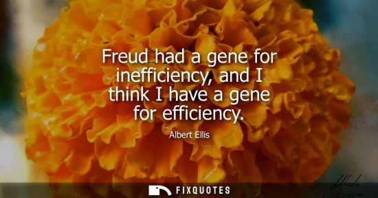 Small: Freud had a gene for inefficiency, and I think I have a gene for efficiency