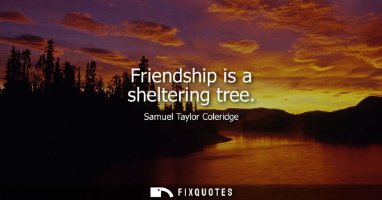 Small: Friendship is a sheltering tree