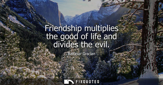Small: Friendship multiplies the good of life and divides the evil - Baltasar Gracian