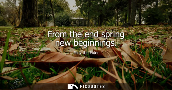 Small: From the end spring new beginnings