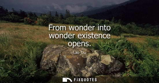 Small: From wonder into wonder existence opens
