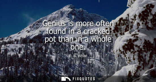 Small: Genius is more often found in a cracked pot than in a whole one - E. B. White
