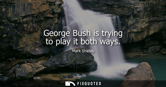 Small: George Bush is trying to play it both ways