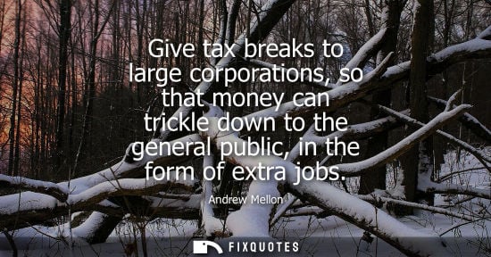Small: Give tax breaks to large corporations, so that money can trickle down to the general public, in the for