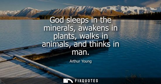 Small: God sleeps in the minerals, awakens in plants, walks in animals, and thinks in man