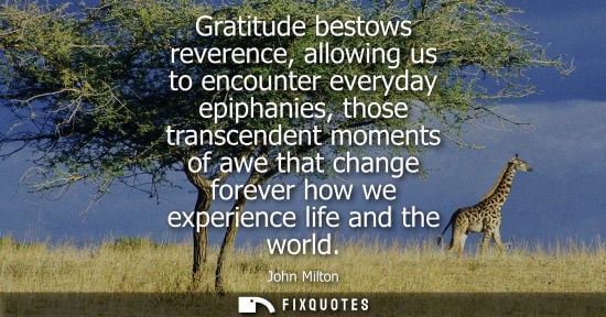 Small: Gratitude bestows reverence, allowing us to encounter everyday epiphanies, those transcendent moments of awe t