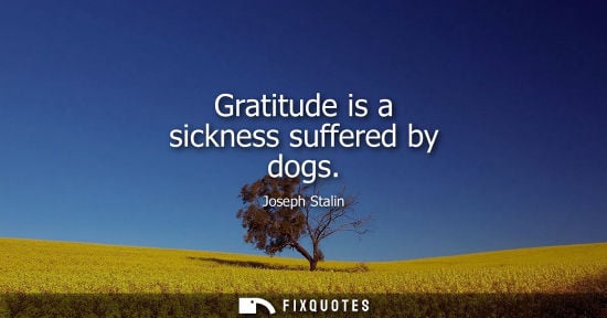 Small: Gratitude is a sickness suffered by dogs
