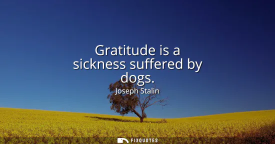 Small: Gratitude is a sickness suffered by dogs