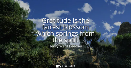 Small: Gratitude is the fairest blossom which springs from the soul