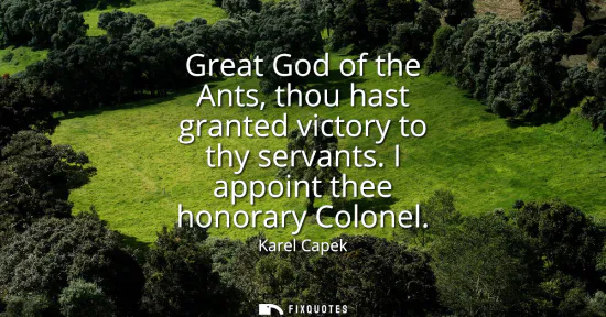 Small: Great God of the Ants, thou hast granted victory to thy servants. I appoint thee honorary Colonel