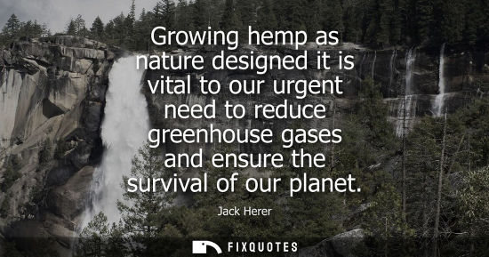 Small: Growing hemp as nature designed it is vital to our urgent need to reduce greenhouse gases and ensure th