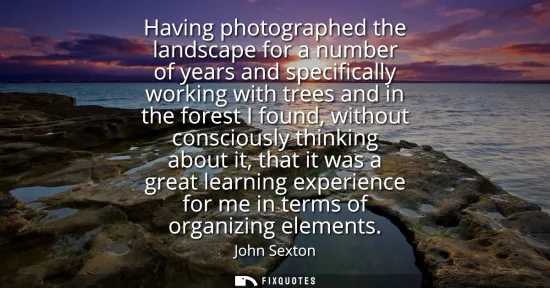 Small: Having photographed the landscape for a number of years and specifically working with trees and in the forest 