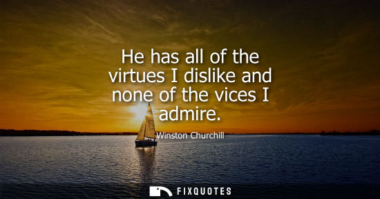 Small: He has all of the virtues I dislike and none of the vices I admire - Winston Churchill